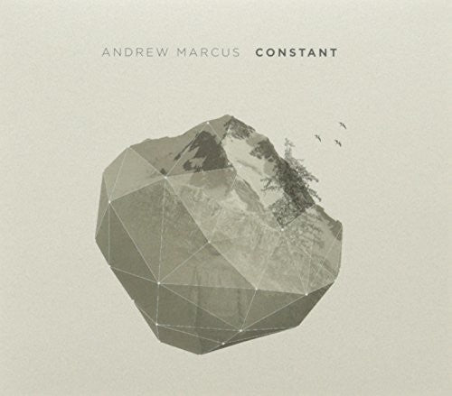 Andrew Marcus - Constant (New CD) Bec Recordings