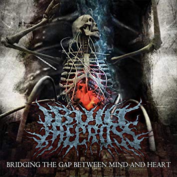 I Built the Cross - Bridging the Gap Between Mind and Heart (New CD) - girdermusic.com