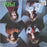 Van Halen – 1984 (Pre-Owned Vinyl) 	Warner Bros. Records 1984 - girdermusic.com
