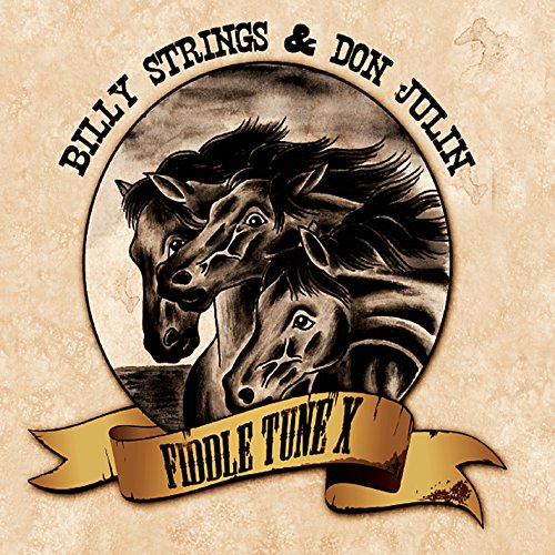 Billy Strings & Don Julin – Fiddle Tune X (Pre-Owned CD)