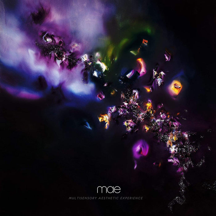 MAE - Multisensory Aesthetic Experience (New-CD) ROCK