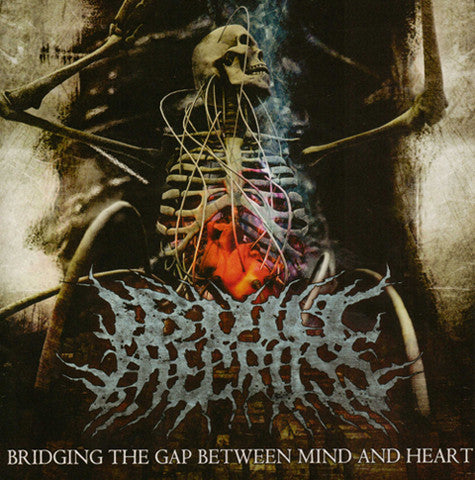 I Built The Cross – Bridging The Gap Between Mind And Heart (Pre-Owned CD) 	Open Grave Records 2009