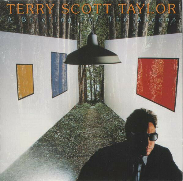 Terry Scott Taylor - A Briefing for the Ascent (CD) 1993 Frontline