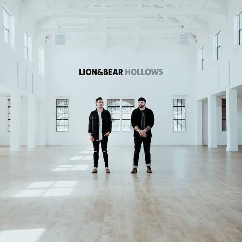 Lion & Bear - Hollows (New/Sealed CD) 2021 BEC Recordings