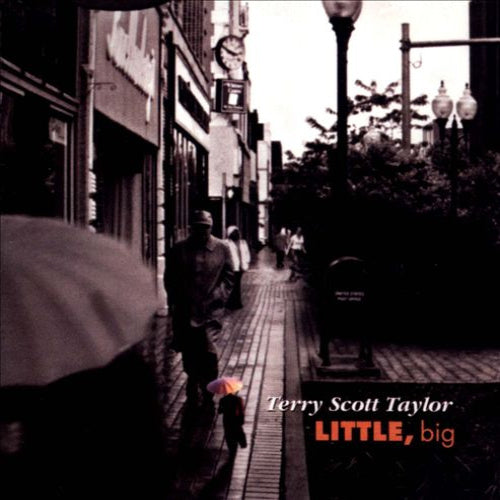 Terry Scott Taylor – Little, Big (Pre-Owned CD)
